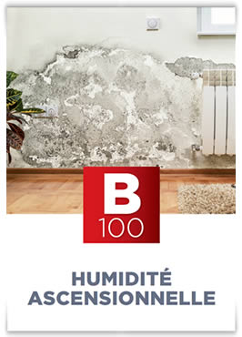 B100 Humidité ascensionnelle TECHNICHEM